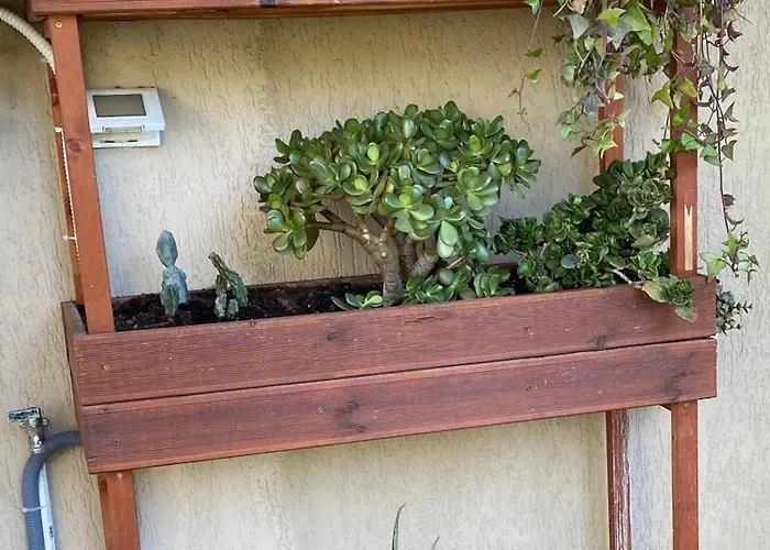 La Casa Di Telen Zona Policlinico Oncologico E De Grecis Bari